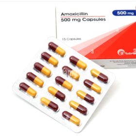 Amoxicillin 500mg Rudipharm