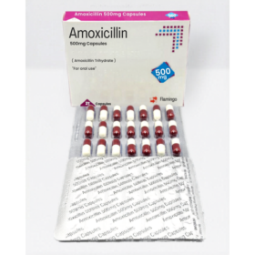 Amoxicillin 500mg Flamingo